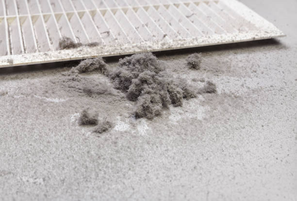 Best Affordable Air Duct Cleaning  in Detroit, MI