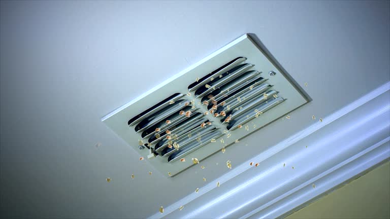 Best Home Air Vent Cleaning  in Detroit, MI